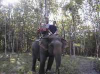 Riding elephant in Thailand, 2003 (with the son)